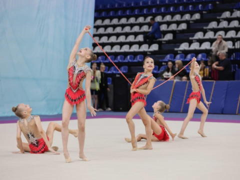 Чеховцев пригласили на художественную гимнастику, хоккей и парковую перезагрузку Новости Чехова 